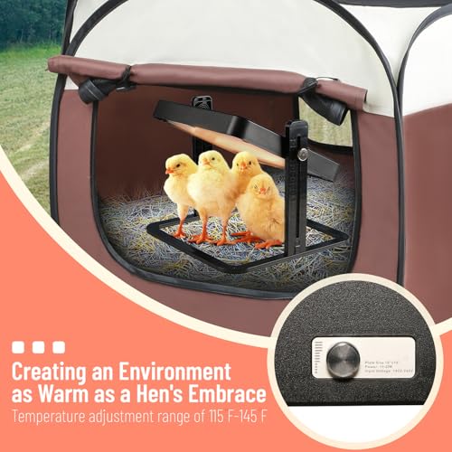 Brooder Box for Chick Starter Kit - 2026 Upgrade Dual Door Chicken Brooder Pen/Playpen/Tent with 10*10 in Brooder Heating Plate,Nesting Pad,Chicks Feeder＆Waterer,Chick Perch Up to 15 Chicks,Duck - color: brown 1