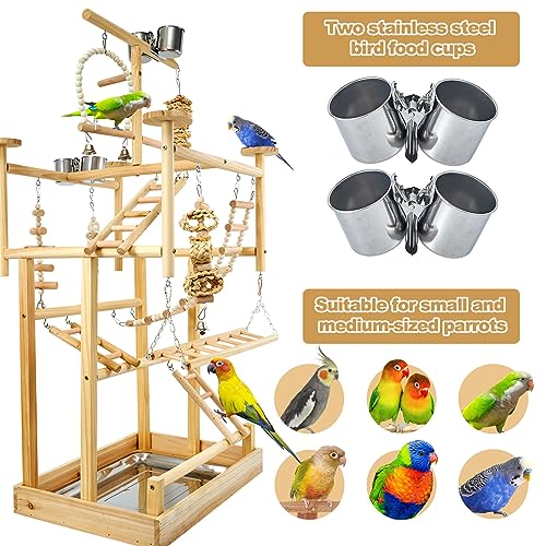 LIMIO Bird Playground - Natural Wood Parrot Playstand with Perches, Bird Play Gym & Accessories, Removable Tray & 4 Stainless Steel Cups
