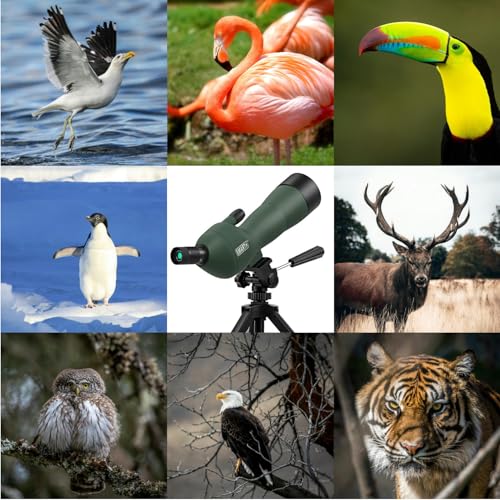 20-60x60 Angled Spotting Scope for Target Shooting, Spotting Scope w/Tripod 14" Tabletop/Carry Bag, 1.37lb Light Spotter Scope, Waterproof Spotting Scopes for Hunting/Birding/Wildlife View
