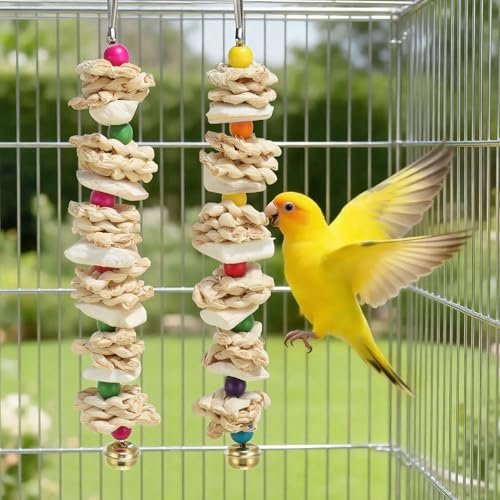Bird Toys with Cuttlebone, Grinding Stone for Bird, 2 Pcs, B | Prevent Destructive Chewing, Colorful，White - style: Style B