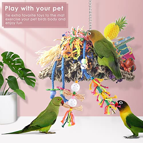 KATUMO Bird Toys, Seagrass Basket Toy with Array of Chewable Parrot Foraging for Small Medium Parrot Birds - style: Pineapple