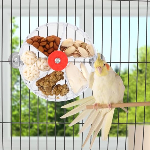 Bird Creative Foraging System Wheel Seed Food Ball Rotate Training Toy for Small and Medium Parrots Parakeet Cockatiel Conure (Clear) - color: Clear