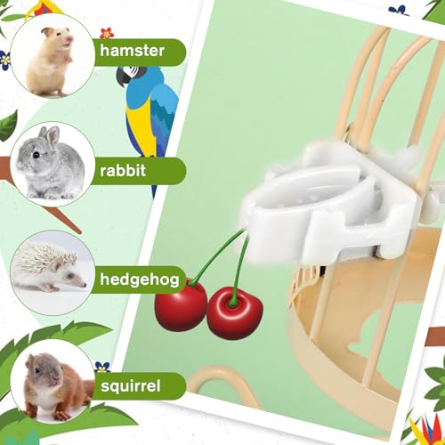 6 Pack Bird Cage Food Holder Bird Cage Clips Parrot Fruit Vegetable Clips White Cages Feeder Clip for Cockatoo Cockatiel Budgie Parakeet Macaw Conure