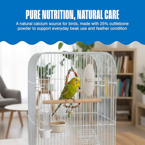 Penn-Plax Bird-Life E-Cuttlebone Original, 1 Pk (2 Counts) - Durable, Less Brittle Cuttlebones Enriched with Omega 3, Honey & Vitamin B1 - Easy Mounting, Cage Clip - Great for All Bird Sizes - White - size: 2 Count (Pack of 1)
