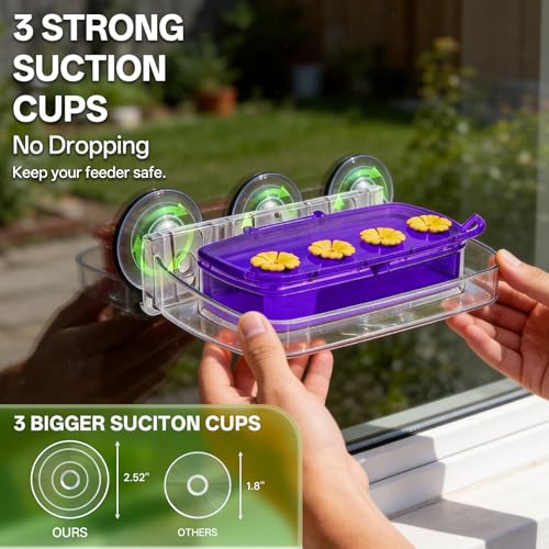 Window Hummingbird Feeder with Strong Suction Cup, Plastic Hummingbird Feeders for Outdoors, Built-in Moat,Easy to Clean and Refil (10oz) (1, Purple) - color: Purple, size: 1 Pack