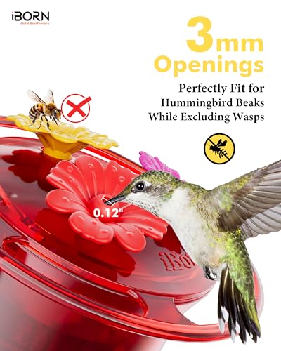 iBorn Circular Hanging Hummingbird feeders for Outdoors 3PCS 3OZ Mini Hummingbird Feeder Humming Bird Feeder, Silicone Feeding Ports, Bee-Proof, New