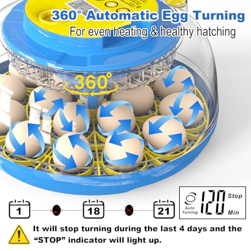 Cieex 18 Egg Incubator for Hatching Chicken, Quails, Ducks, Parrots, Geese with Automatic Egg Turning and Humidity Control, Blue & White ABS Terrarium Incubator