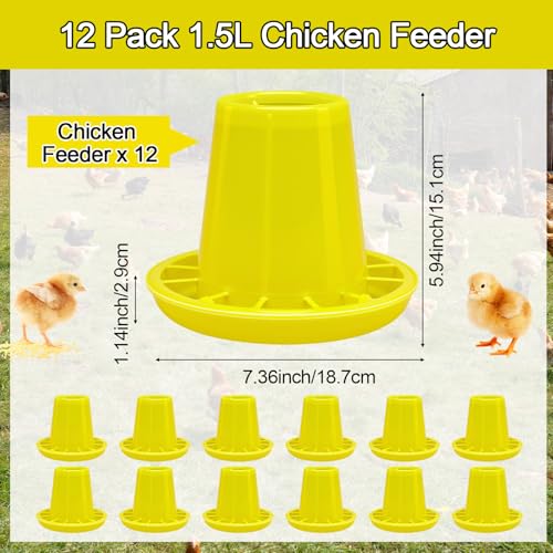 Funnymoom 12 Pack Small Chicken Feeder Bulk Chick Feeder Chick Feeding for Poultry Ducks Goose Quail Pigeons
