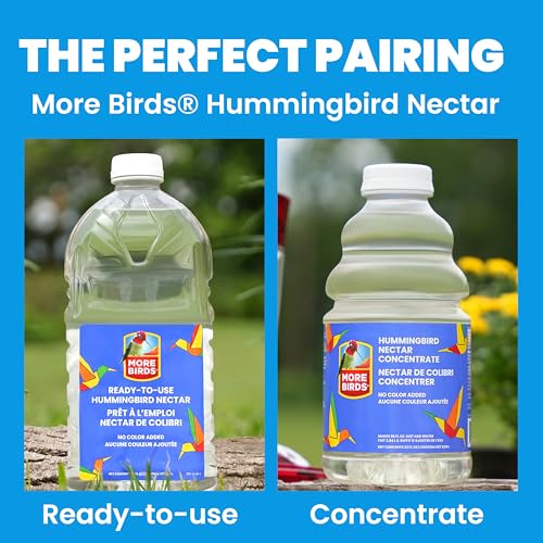 More Birds Bird Health+ Big Gulp Hummingbird Feeder, Glass Hummingbird Feeders for Outdoors, 5 Feeding Stations, 40 Ounces | Built-in Ant Moat, 40 oz Large Capacity, 5 Feeding Stations, BPA-Free Red Base and Top