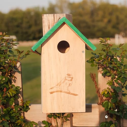 Wooden Bird Houses for Outside Hanging, Decorative Outdoor Clearence Birdhouse, Bird House, Cedar Bird House Outdoor, Bluebird Finch Swallow Wren Chickadee, Birdhouses for Outdoors, Bird Box