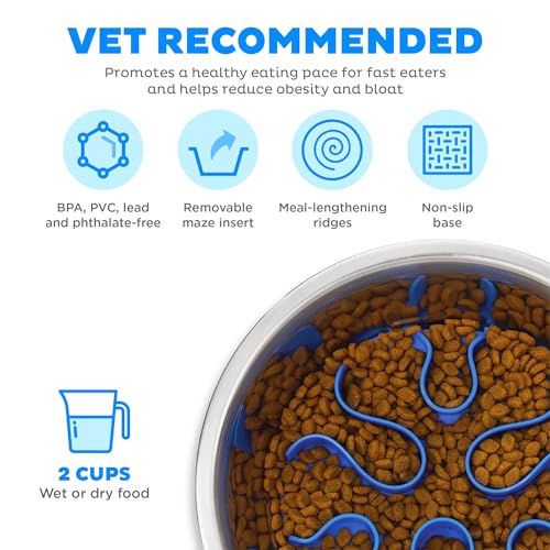 Outward Hound Fun Feeder Stainless-Steel Slo Bowl for Dogs – Medium 2‑Cup Capacity, Slow Feeding, Removable Puzzle Maze, Non-Slip, Fits Raised Feeding Platforms - color: Stainless Steel, size: Medium