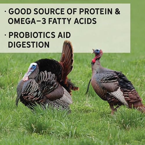 New Country Organics | Corn-Free Turkey Grower Feed 40 lbs I Turkey Feed for Jakes and Jennies | Soy-Free and Corn-Free | 23% Protein | Certified Organic and Non-GMO