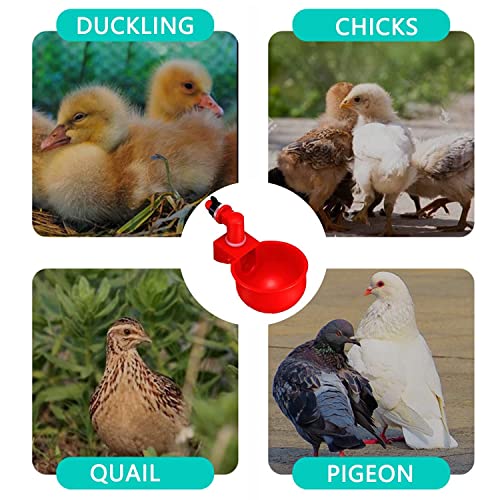 Chicken Water Cups 6 PCS Automatic Watering Cup 3/8 Inch Filling Waterer Poultry Drinking Bowl for Duck Rabbit Feeder with Drill Bit