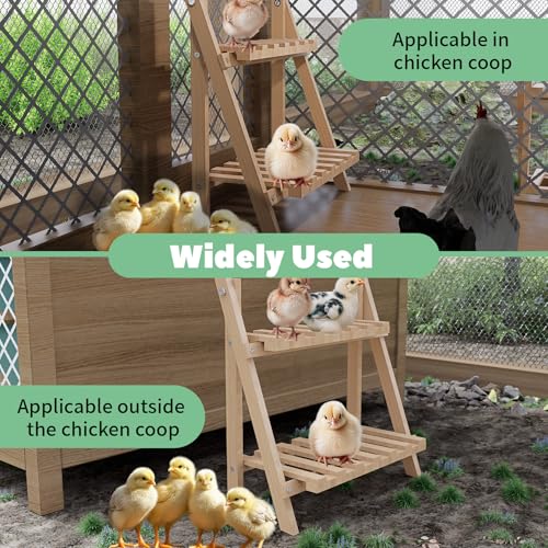 Chicken Perch,Strong Chicken Roosting Bars for Coop and Brooder,Foldable Chick Jungle Gym,Chicken Perch for Coop,Chicken Toys for Coop,Training Perch for Chick,Large Bird,Parrot