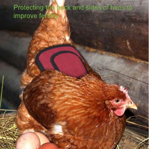 Outdoor Chicken Aprons Clothes 6 Pcs Chicken Saddle For Hens Hen Saddles with Elastic Adjustable Strap