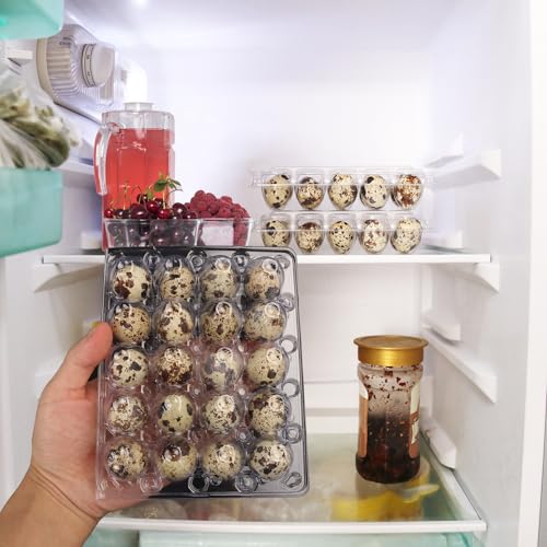 150 Pack Quail Egg Cartons, Clear Plastic Quail Egg Trays, Holds up to 20 Quail Eggs Securely - Your Ultimate Small Eggs Carton Holders for Bulk Storage and Display - size: 150 Pack Quail Egg Cartons 20 Grids