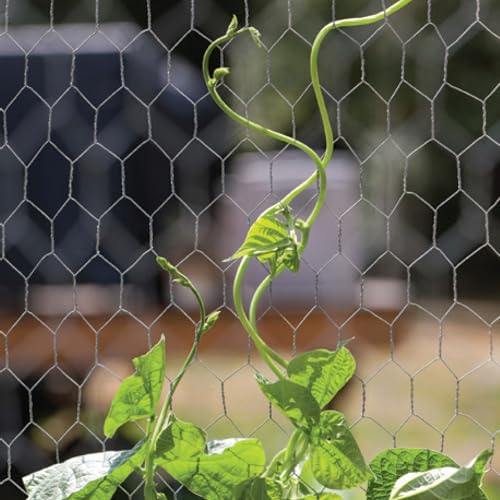 YARDGARD 2 Inch Poultry Netting, Chicken Wire Fence, 20 Gauge Galvanized Steel, Rabbit Fencing, Bird Enclosures, Garden Protection and Plant Support, 48 Inches x 150 Feet