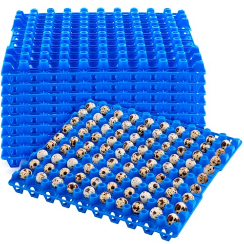 Teenyyou 10 Pcs 90 Egg Plastic Trays Quail Egg Flats Holder for Quail Pigeon Dove Bird Flat Carton (Blue) - color: Blue