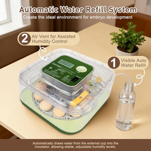 Gen IV – 12 Egg Fully Automatic Incubator, 2026 Upgraded Design, Intelligent Sensor-Based Humidity & Temp Control, Custom Hatch Days, Adjustable Auto Turnn with Auto-Stop, 360° View, Alarm, Candler - size: 12 egg-green