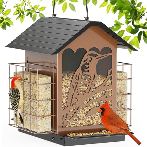 Birdream Bird Feeders for Outdoors, 5 Lbs Metal Bird Feeder with Double Suet Cages, 2 in 1 Mixed Seeds Suet Feeder, Large Capacity & Weatherproof Metal Roof, Attract Cardinals Wildbird Woodpecker