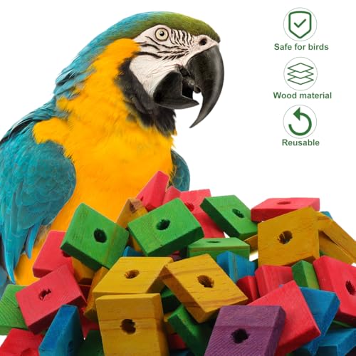NOLITOY Bird Toys: 100 Pcs Wooden Blocks, Parrot Chew Toys Beak Trim Foot Craft Cage Parts DIY Shredding Playing for Macaw Conure African Grey Indoor Gift for Bird Lovers (Mixed Colors)