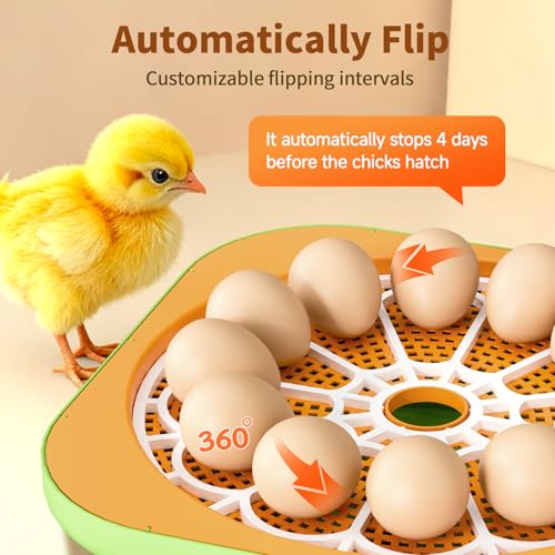 Incubator for Hatching Eggs, Temperature and Humidity Control, Automatic and Adjustable Egg Turning & Incubation Day, Built-in Egg Candler, 12 Egg Incubator for Hatching Chicken, Duck, Turkey, Bird