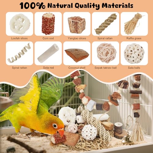Bird Toys Parrot Natural Foraging Box Parakeet Toys DIY Hanging String for Cockatiels,Conures,Love Birds,and Other Small to Medium Birds Cage Accessories (Medium) - size: Medium