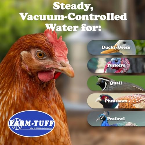 FARM-TUFF Galvanized Poultry Waterer, 3 Gallon Capacity - Double-Wall Poultry Fountain with Cone Top - Automatic Gravity-Fed Water Dispenser for Chickens, Ducks & Game Birds - size: 3 Gallon Capacity
