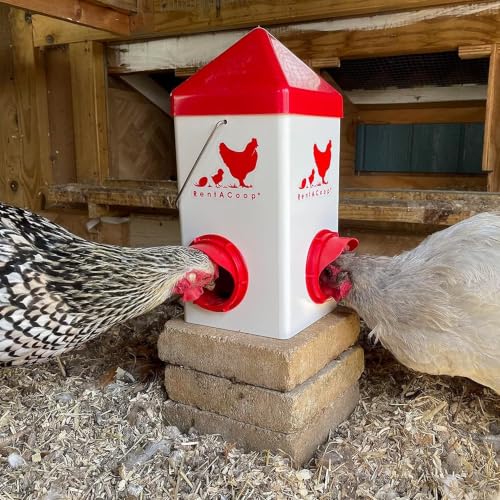 RentACoop Chick2Chicken 5lb 2-Port Feeder