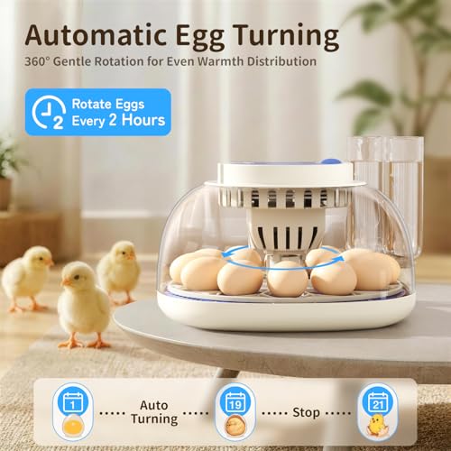 12 Egg Incubators for Hatching Eggs, Auto Turning, Temp & Humidity Control | Auto Egg Turning, Auto Water Refill, 360° Viewing Window, Built-in Egg Candler & Air Vents - color: Blue, size: 12 Eggs