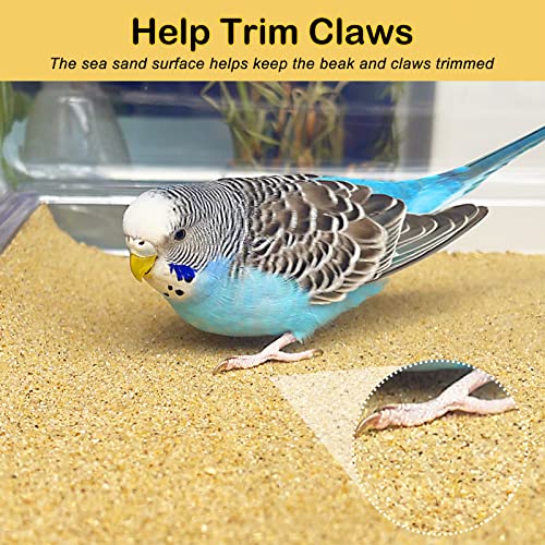 S&X Bird Cage Liners 17 x 11in, 120-Pack, Disposable Gravel Paper Sheets | Thick, flat gravel paper eases cage cleanup – gritty surface helps trim claws & beaks – pre-cut to fit common cage trays - size: 17" x 11" - 120PCS