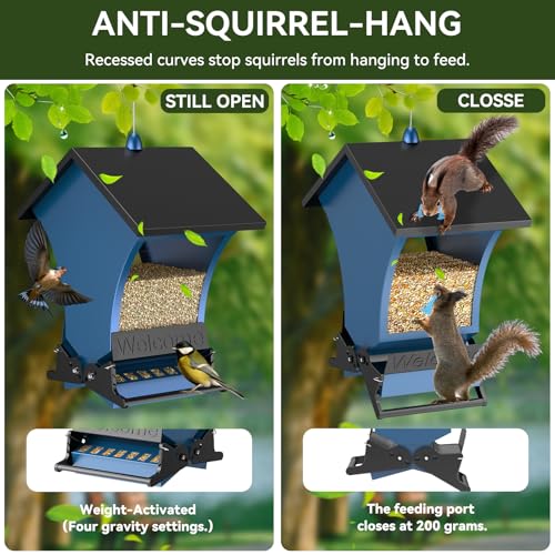 Wildpark Squirrel Proof Bird Feeders for Outdoors, 5LB Metal Hanging Feeders, Large Wild Feeders for Cardinals, Chickadees, Durable Backyard Feeders -One in Blue - color: Blue