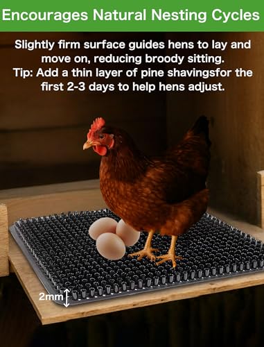 6-Pack Washable Chicken Nesting Pads for Chicken Coop, 13x11in Reusable Nest Box Liners, Trim-to-Fit Open-Grid Bedding for Cleaner Eggs, Heavy-Duty Poultry Supplies (Black) - color: Black, size: 6-Pack