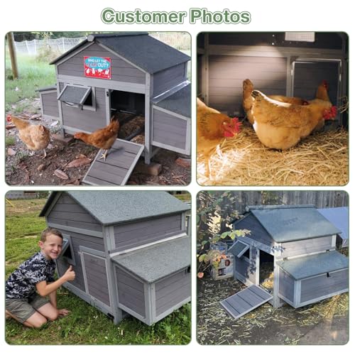 Large Chicken Coop for 2-4 Chickens, Outdoor Wooden Hen House with Weatherproof Asphalt Roof, 4 Sectionable Nesting Box, Dual Ramp Doors, Pull-Out Tray, 67.3" L x 36.8" W x 40.6" H - Grey - size: 67.3"L x 36.8"W x 40.6"H