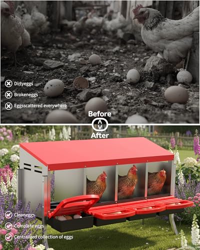 GarveeLife Chicken Nesting Box 4 Hole, Galvanized Steel Nest with Roll Away Egg Collection & Swing Perch, Easy-Clean Laying Box for Hens, Heavy Duty Design for Chicken Coop - color: Red, size: 4 holes with legs