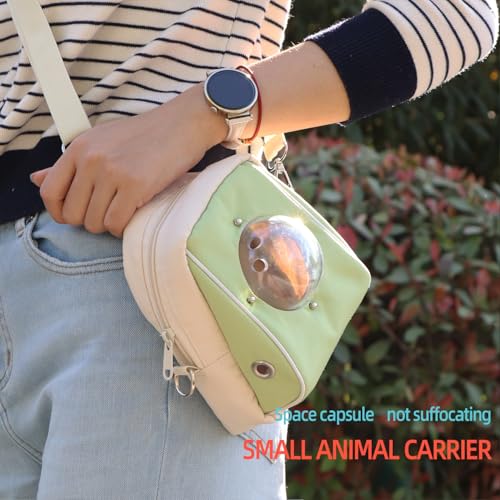 Hamster Carrier, Suitable for Sugar Gliders, Rats, Parrots and Other Small Pets, Breathable Bird Backpack with Transparent Spacecraft (Green) - color: Green