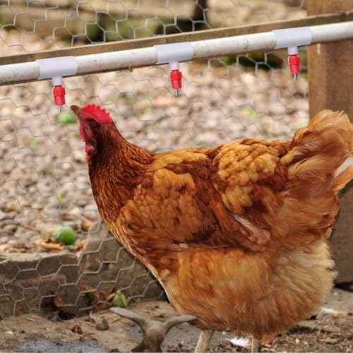Outus 100 Pack Chicken Waterer PVC Tee Fittings, Fully Automatic Poultry Waterer PVC Fittings for Threaded Chicken Water Nipples, Cups, Drinker, Feeder, Duck, Quail, Turkey Coop Accessories, White
