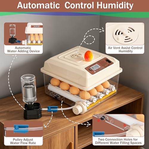16 Eggs Incubators, Chicken Incubator with Automatic Egg Turning | Incubators for Hatching Chicken Eggs, Quail Incubator with 4 Auto Incubate Mode, with Humidity Display Auto Water Filling - color: White, size: 16 Egg