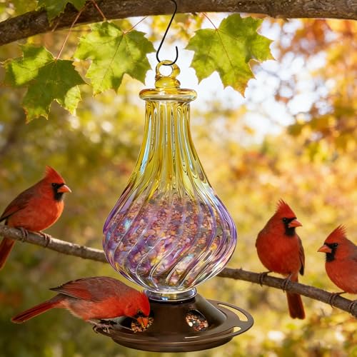 Glass Bird Feeder for Outdoors Hanging – Lantern Shape with Hook, Waterproof Wild Bird Feeder for Seeds, Outside and Garden Decoration