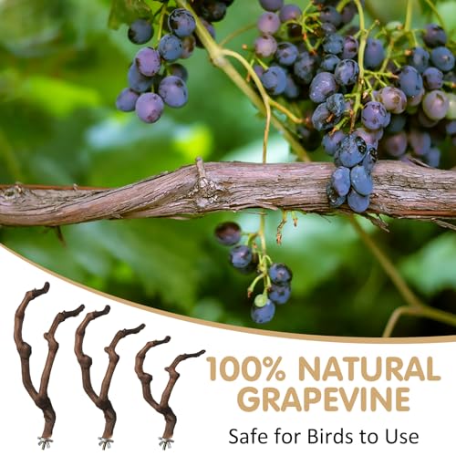 PINVNBY 3 Sizes Natural Parrot Perch Grape Wood Bird Stand Pole Parakeet Paw Grinding Fork Chewable Climbing Branches Toy Bird Cage Accessories for Budgies Conures Cockatiels Lovebirds - size: 5.9+7.9+9.8in