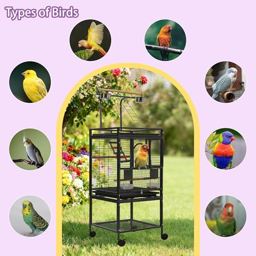 50.8'' Large Parakeet Cage,Small Bird Cage,Cockatiel Cage for Birds,Bird Flight Cages for Parakeets,Bird Travel Cage with Parrot Cage Cover,Toys,PlayTop Detach,Seed Catcher for Canary,Budgie