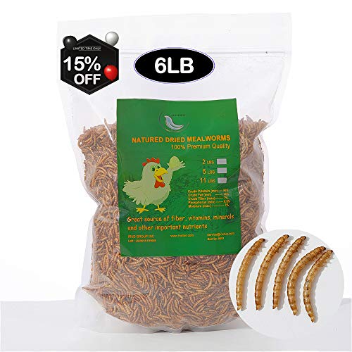 6LBs Non-GMO Dried Mealworms,High-Protein Larvae Treats Feed Molting Supplement for Birds Hens Ducks etc,Large Bulk Meal Worms Birds Chicken Food