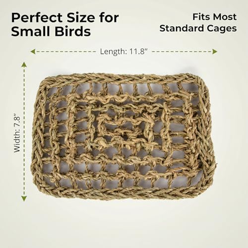 MAQIHAN Seagrass Mat for Birds - Bird Toys Seagrass 11.8x7.8 Inches | Bird Climbing Wall Seagrass Net Hammock Toy for Medium Parakeets Lovebirds Finch Budgerigars Conure Cockatiel with 2pcs twine