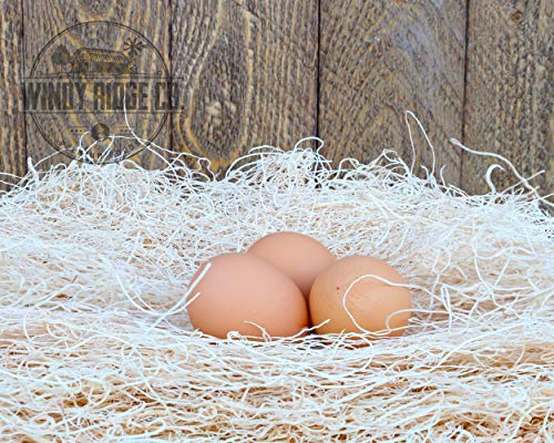 Natural Chicken Nesting Pads - 10 Pack - Aspen Excelsior Bedding Hen Nest Box Liners - USA Made - 13" x 13"