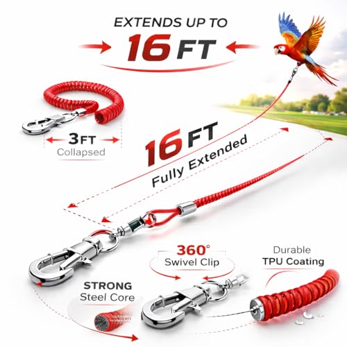 Bird Harness Leash Anti-bite Outdoor Red Flying Training Rope with 5pcs Different Sizes of Soft Foot Loops and Training Whistle(Upgraded Version of Ankle Ring)
