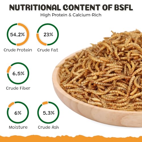 Dried Mealworms 5LB, 100% Natural High-Protein Chicken Treats & Wild Bird Food, Non-GMO Meal Worms for Laying Hens, Ducks, Bluebirds, Reptiles, Hamsters - size: 5 Pound (Pack of 1)