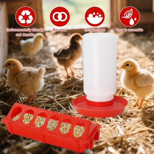 Chick Feeder and Waterer Kit with Mini Perch Chick Starter Kit for Small Poultry Ducks/Quail, Coop Brooder Feeding Supplies
