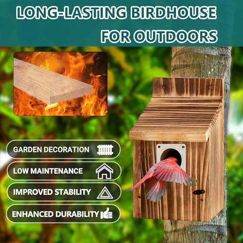 2 Pack Bird Houses for Outside, Outdoors Birdhouse Feeder for Bluebird,Cardinal,Purple Martin and Sparrow,Wooden Cedar Hanging Birds Nest,Easy to Clean,No Assembly Needed - style: Box