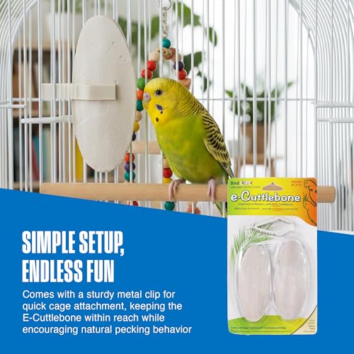 Penn-Plax Bird-Life E-Cuttlebone Original, 1 Pk (2 Counts) - Durable, Less Brittle Cuttlebones Enriched with Omega 3, Honey & Vitamin B1 - Easy Mounting, Cage Clip - Great for All Bird Sizes - White - size: 2 Count (Pack of 1)