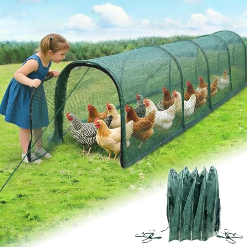 Foldable Chicken Tunnel – Instant Setup, No Assembly Required, 157 Inch Portable Chicken Run for Yard, Expandable Outdoor Tunnel (157 * 30 * 24 inches)